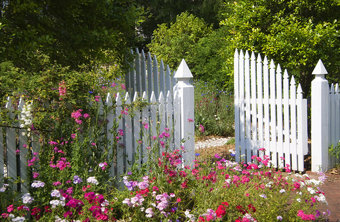 garden