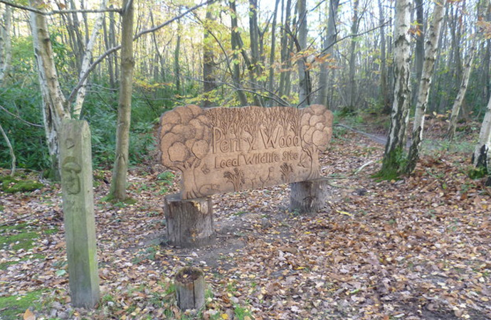 Perry Wood