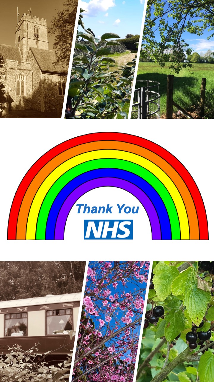 -rainbow_final_ppt