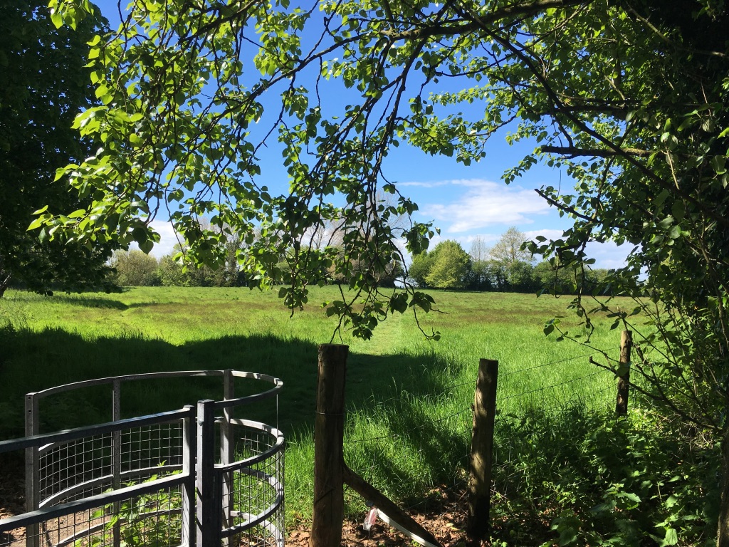 field