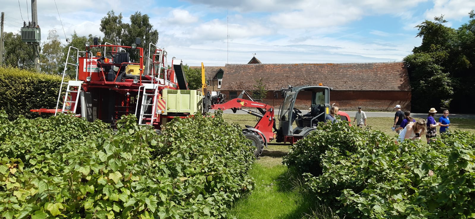 tractors